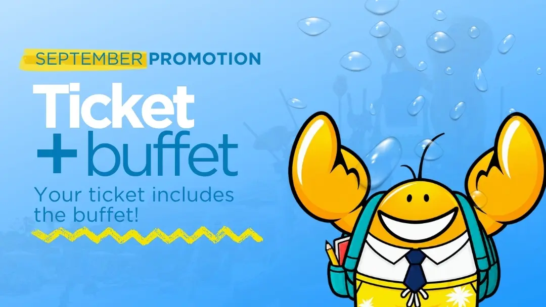 Aqualava summer promotion - Ticket + Buffet