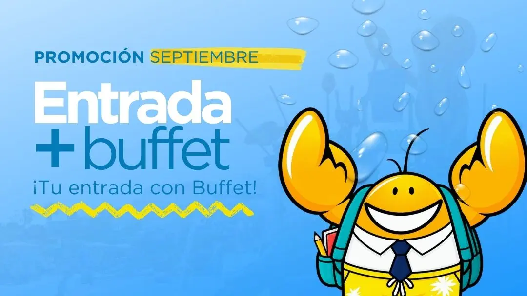 Promoción de julio y agosto de Aqualava - Entrada + Buffet